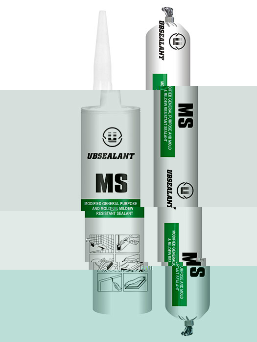 MS