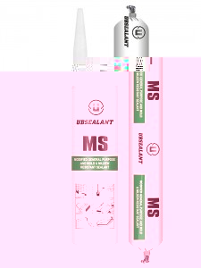 MS